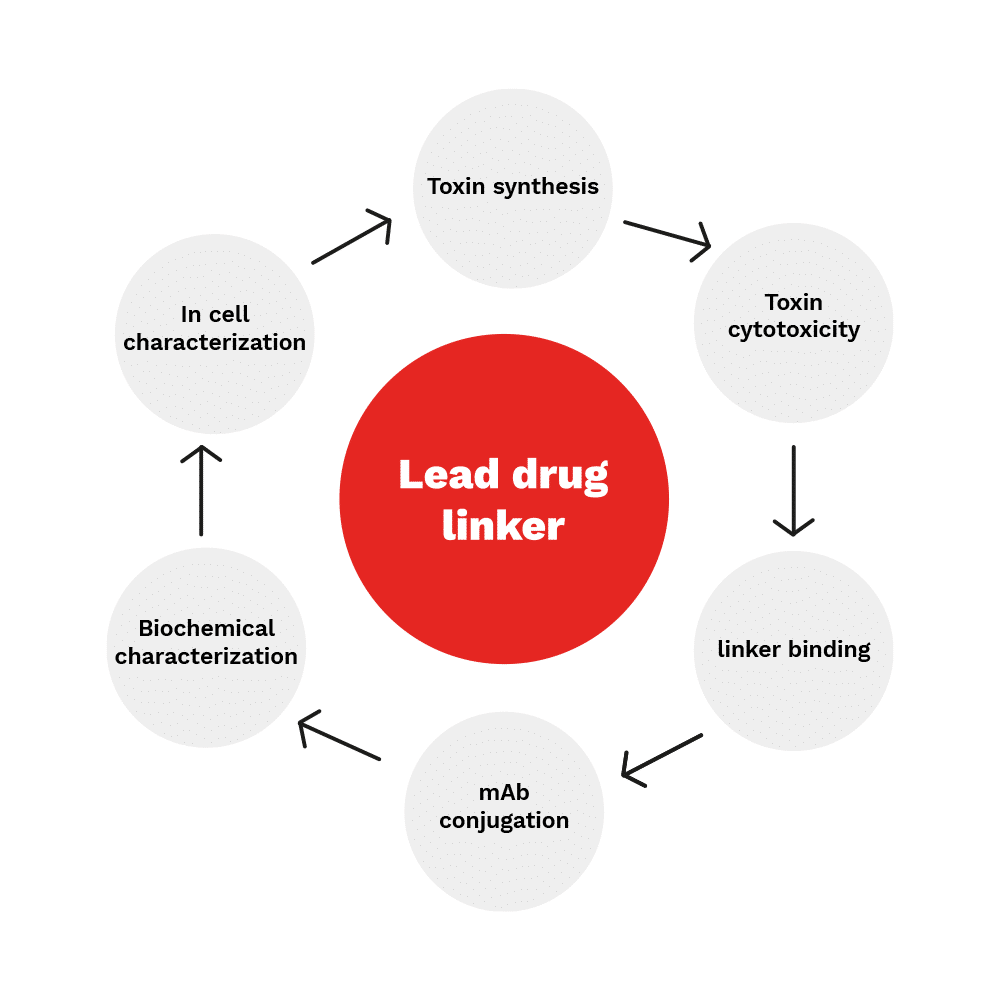 lead_drug_linker_nerviano