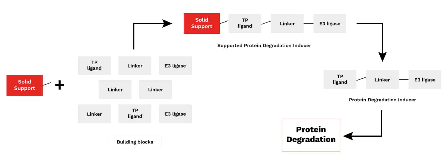 protein-degradation