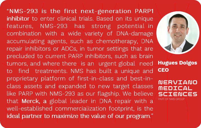 Nerviano Medical Sciences S.r.l. Announces Collaboration and Option to License Agreement with Merck